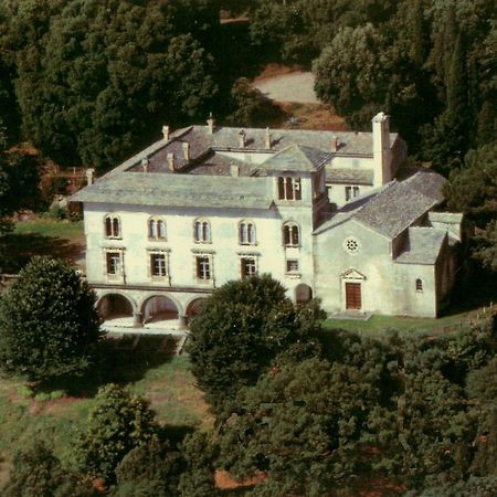 Gite Au Chateau Cagninacci San-Martino-di-Lota Esterno foto